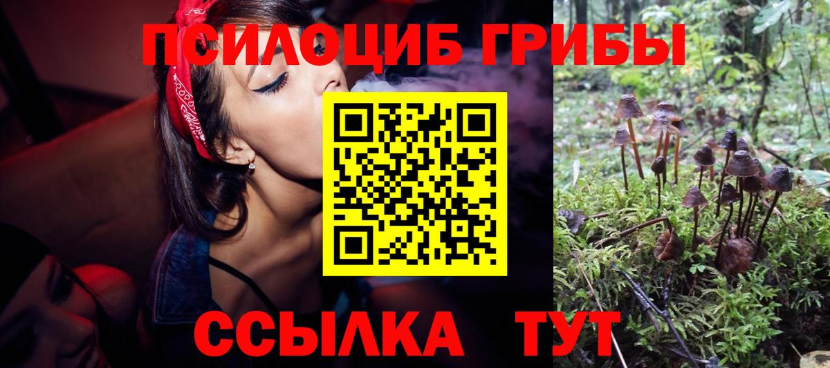 Ростов-на-Дону  Галлюциногенные грибы мицелий  Псилоцибиновые грибы Cubensis  Вход с VPN 